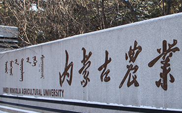 2025年内蒙古农业大学外国语言学院英语笔译硕士非全日制研究生招生简章