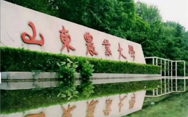 2025年山东农业大学动物医学院兽医硕士非全日制研究生招生简章