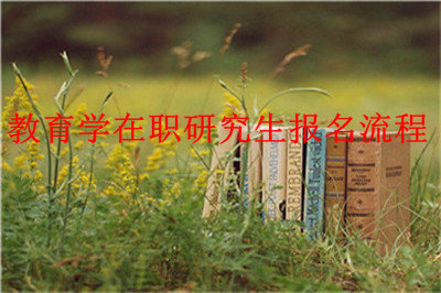 2019年教育学在职研究生报名流程是什么？