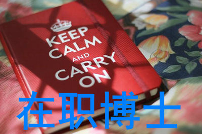 2019年哪些院校招在职博士？