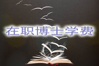 在职博士学费可以分期付款吗？