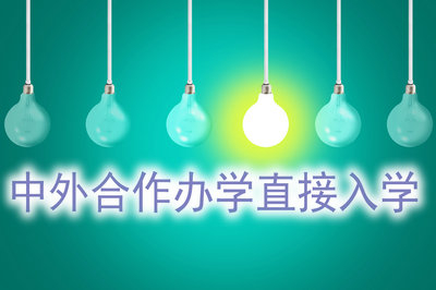 报考中外合办可以直接入学吗？