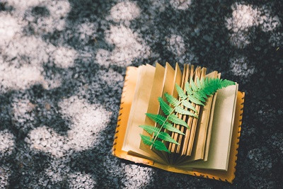天津大学在职研究生攻读流程有哪些？
