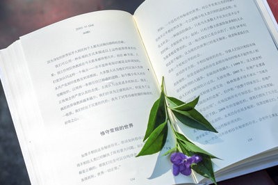 2022年免联考国际硕士报考条件是什么？