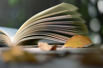 江西师范大学在职研究生