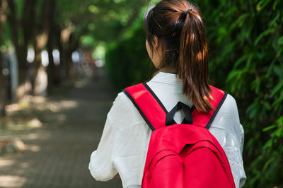 河南财经政法大学在职研究生怎么报读？