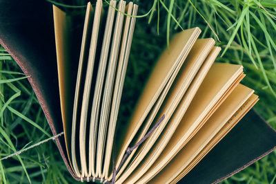 软件工程在职研究生什么时间可以进行报名？