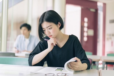 法国布雷斯特商学院国际硕士