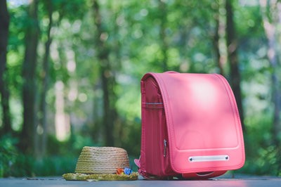 本科有学位如何报考湖北师范大学在职研究生？