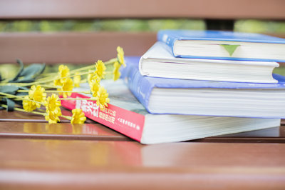 中南财经政法大学在职研究生