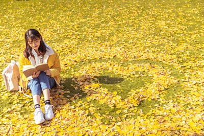 2025汕头大学在职研究生报考途径有哪些？