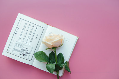 考古学在职研究生 考古学在职研究生