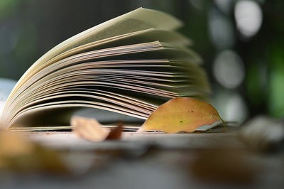2022年在职研究生与全日制研究生区别明显吗？