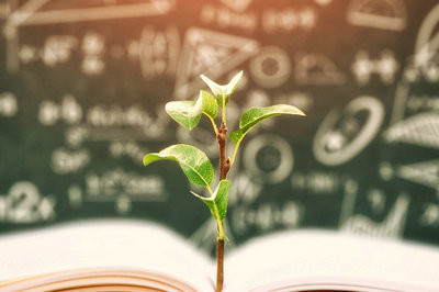首次报名伦理学在职研究生的报考流程