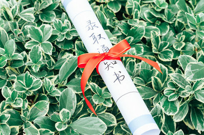 风景园林学在职研究生报考条件及流程是什么？